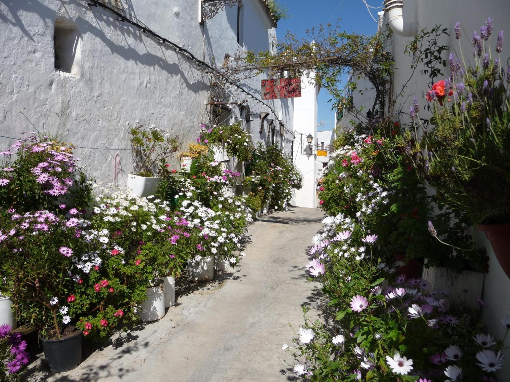 Vivienda Turistica De Alojamiento Rural Cilla Vieja Apartment Vejer de la Frontera Exterior photo